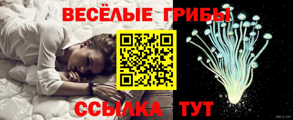 Псилоцибиновые грибы ЛСД  Вход с VPN  Псилоцибиновые грибы Cubensis  Кемерово 