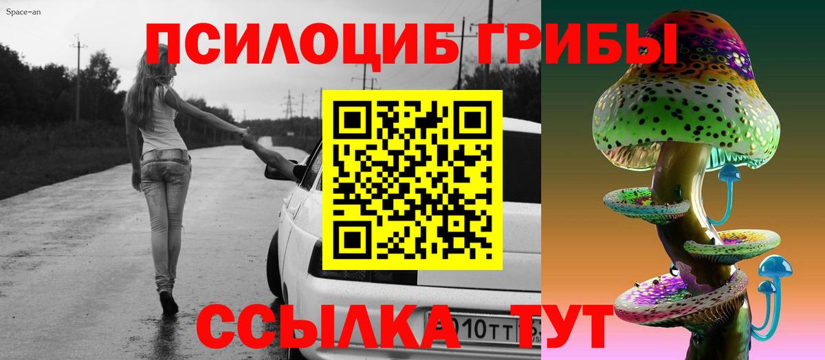 Галлюциногенные грибы прущие грибы Кемерово